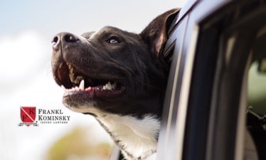 Dog Bite Injury Lawyers Frankl Kominsky Injury Lawyer