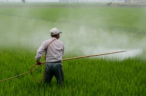Farming spraying his crops with herbicide